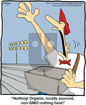 In the Bleachers - Thursday October 19, 2023 Comic Strip