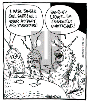 Reality Check on Monday June 11, 2007 Comic Strip