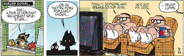 Over the Hedge on Wednesday June 22, 2016 Comic Strip