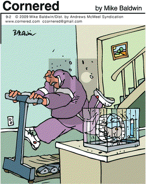 Cornered on Saturday September 2, 2017 Comic Strip