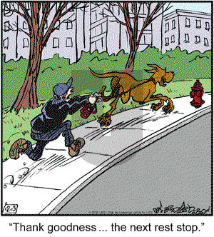 Marmaduke on Thursday December 13, 2012 Comic Strip