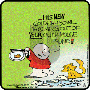 Ziggy on Saturday November 10, 2001 Comic Strip