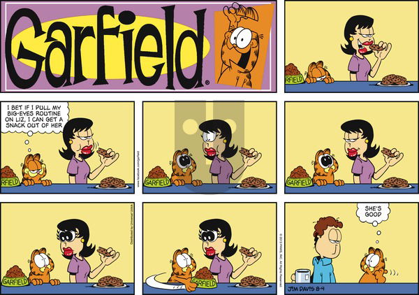 Garfield on Sunday August 4, 2013 Comic Strip