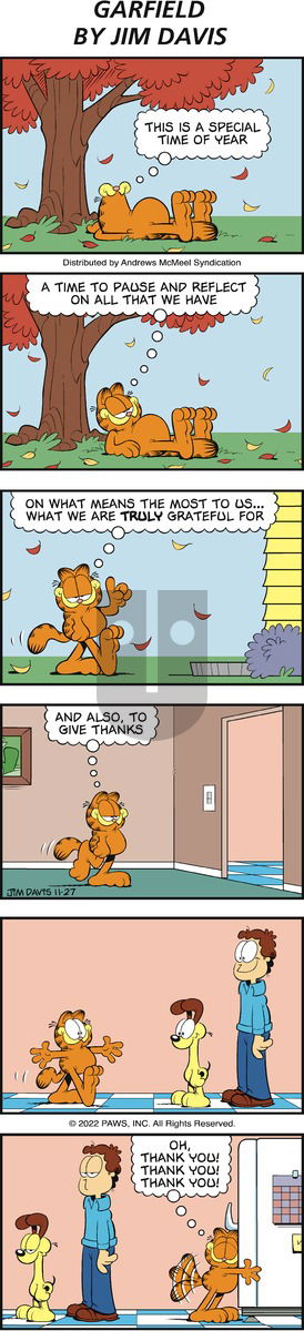 Garfield - Sunday November 27, 2022 Comic Strip