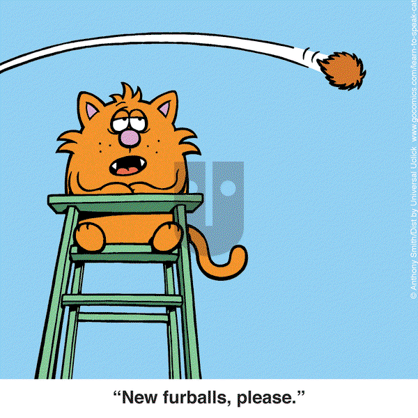 Learn to Speak Cat on Saturday October 11, 2025 Comic Strip