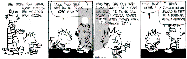 Calvin and Hobbes - Friday June 14, 2013 Comic Strip