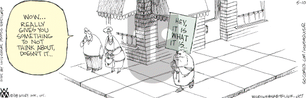 Non Sequitur - Saturday May 10, 2008 Comic Strip