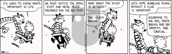Calvin and Hobbes on Wednesday April 8, 2015 Comic Strip
