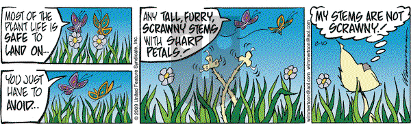 Rose is Rose on Monday August 10, 2009 Comic Strip