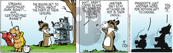 Over the Hedge on Monday May 10, 2021 Comic Strip