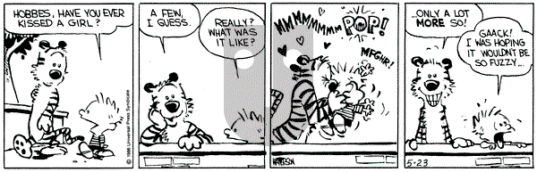 Calvin and Hobbes on Thursday May 23, 1991 Comic Strip