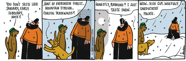 Overboard on Monday February 1, 2010 Comic Strip