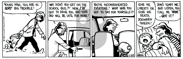 Calvin and Hobbes - Friday January 20, 1989 Comic Strip