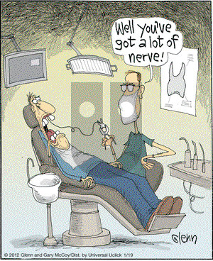 The Flying McCoys - Thursday January 19, 2012 Comic Strip