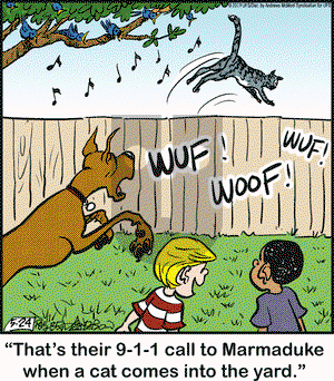 Marmaduke on Friday May 24, 2019 Comic Strip