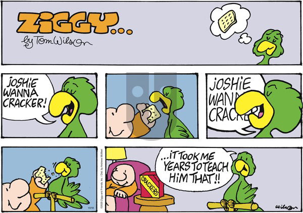 Ziggy on Sunday October 18, 2020 Comic Strip