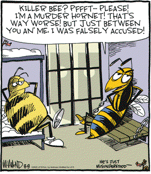 Reality Check on Saturday August 8, 2020 Comic Strip