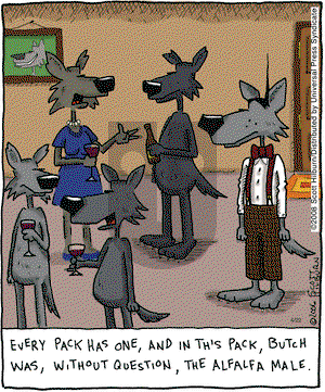 The Argyle Sweater on Tuesday April 22, 2008 Comic Strip
