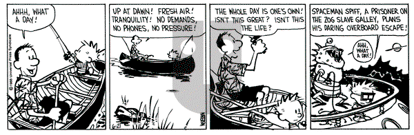 Calvin and Hobbes on Tuesday June 21, 1988 Comic Strip