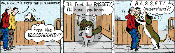 Fred Basset - Saturday October 25, 2014 Comic Strip
