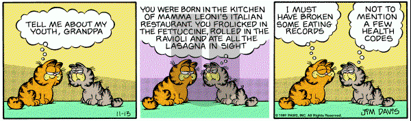 Garfield on Thursday November 13, 1980 Comic Strip
