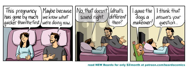 Beardo on Tuesday August 13, 2024 Comic Strip