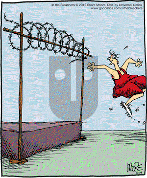 In the Bleachers on Friday June 29, 2012 Comic Strip