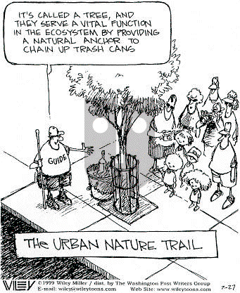 Non Sequitur on Tuesday July 27, 1999 Comic Strip