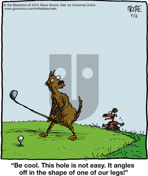In the Bleachers on Wednesday May 6, 2015 Comic Strip