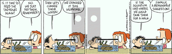 Baby Blues on Saturday August 21, 2004 Comic Strip