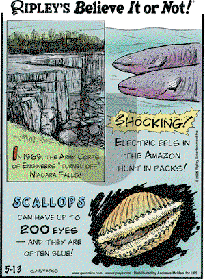 Ripley's Believe It or Not on Tuesday May 13, 2025 Comic Strip