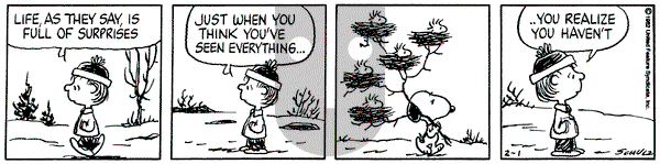Peanuts on Monday February 1, 1982 Comic Strip