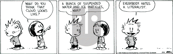 Calvin and Hobbes - Wednesday June 16, 1993 Comic Strip