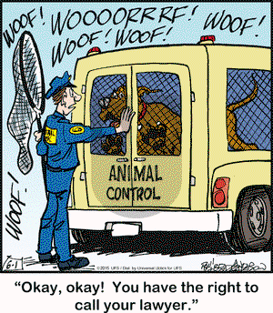 Marmaduke on Monday June 1, 2015 Comic Strip