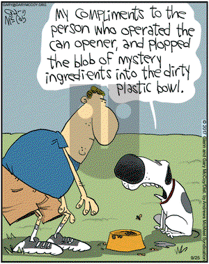 The Flying McCoys on Monday September 25, 2017 Comic Strip