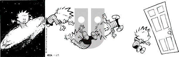 Calvin and Hobbes - Wednesday November 29, 1989 Comic Strip