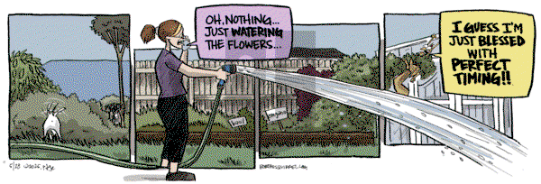 Bob the Squirrel on Wednesday May 28, 2025 Comic Strip
