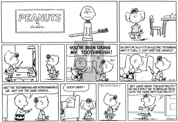 Peanuts on Sunday November 13, 1966 Comic Strip