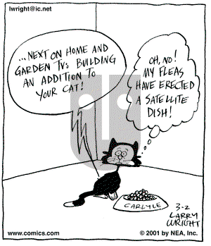 Kit 'N' Carlyle on Friday March 2, 2001 Comic Strip