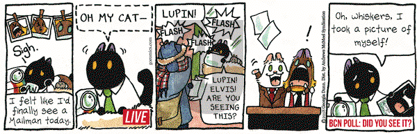 Breaking Cat News on Tuesday January 16, 2018 Comic Strip