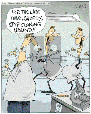 The Flying McCoys on Friday November 4, 2011 Comic Strip
