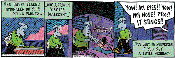 Overboard on Monday April 28, 2025 Comic Strip
