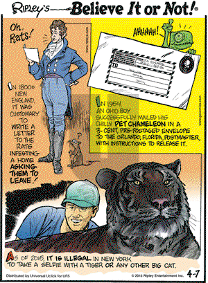 Ripley's Believe It or Not on Tuesday April 7, 2015 Comic Strip