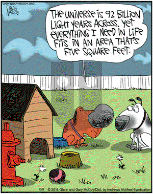 The Flying McCoys on Saturday June 9, 2018 Comic Strip