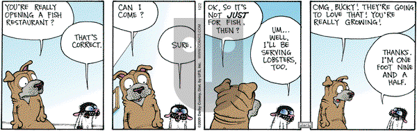 Get Fuzzy on Wednesday December 2, 2009 Comic Strip