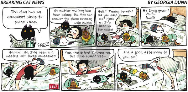Breaking Cat News on Sunday July 29, 2018 Comic Strip