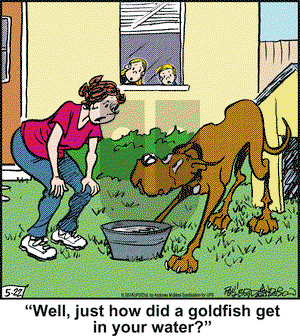 Marmaduke - Wednesday May 22, 2024 Comic Strip