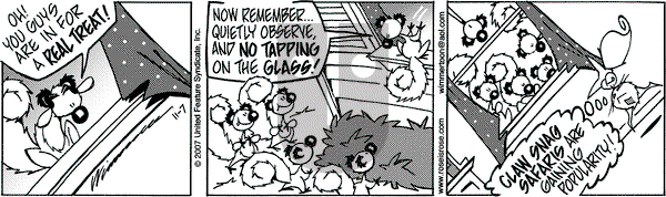 Rose is Rose on Wednesday November 7, 2007 Comic Strip