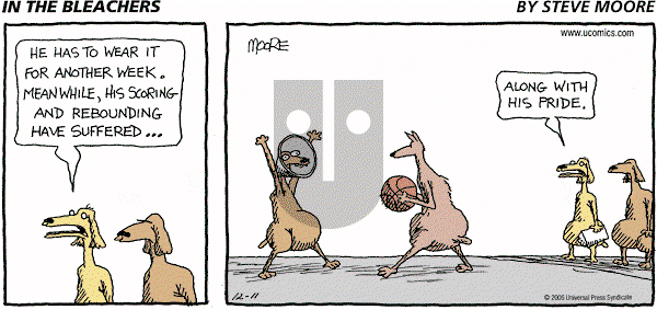 In the Bleachers on Sunday December 11, 2005 Comic Strip