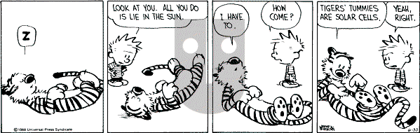 Calvin and Hobbes - Thursday June 30, 1988 Comic Strip